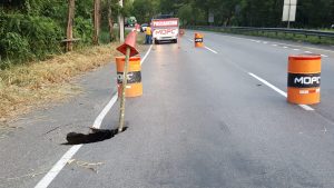 Obras Públicas informa avería tramo autopista Duarte