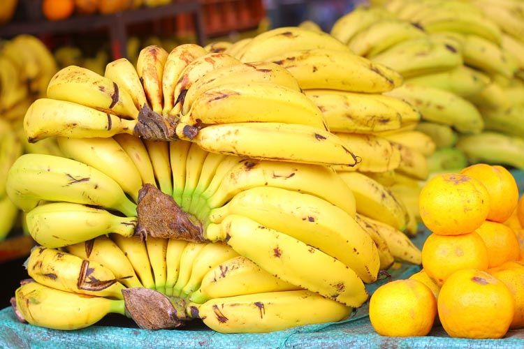 Sector bananero de RD y otros países pide corresponsabilidad en costos