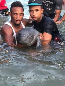 Jóvenes rescatan bebé nanatí en playa de Barahona