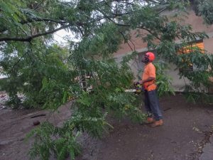 Lluvia deja casas inundadas y árboles caídos en Santiago