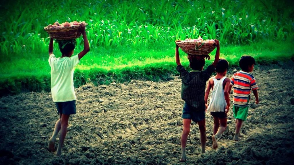 RD avanza en la eliminación del trabajo infantil, según informe de EEUU