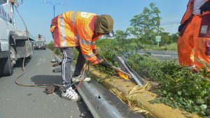 MOPC inicia plan de reparación y sustitución de barandas en carreteras