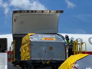 180,180 nuevas dosis de vacunas llegaron al país el día de hoy