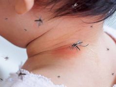 El dengue nuevamente sobre el tapete; niños afectados en aumento