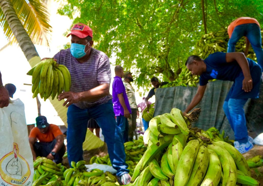 Inespre vende plátanos a 1 peso  en varias provincias