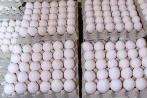 Productores de huevo aseguran industria 