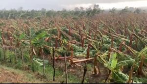 Ministro de Agricultura evalúa daños causados por tornado en Mao