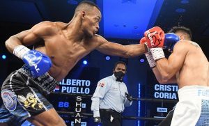 Boxeo profesional de RD busca capturar un título mundial