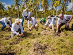 ETED fomenta la recuperación de manglares