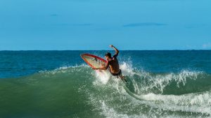 Un dron graba a un tiburón nadando a escasos metros de un surfista desprevenido