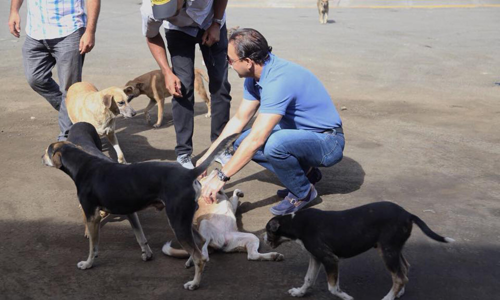 Inician jornada de vacunación contra la rabia a perros y gatos