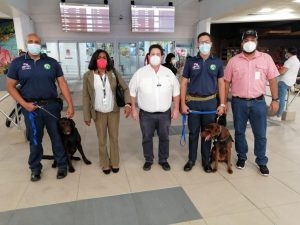 Regresan técnicos caninos capacitados en Panamá