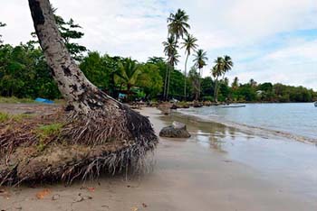 República Dominicana insta a la actuación inmediata para salvar las islas