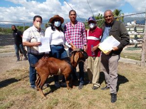 Entregan padrotes de cabras a productores de las provincias de región sur