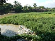 INDRHI dará mantenimiento a obra de toma del canal Camú, en La Vega