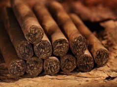 Cuba reduce un 10 % la siembra de tabaco en esta campaña por falta de insumos