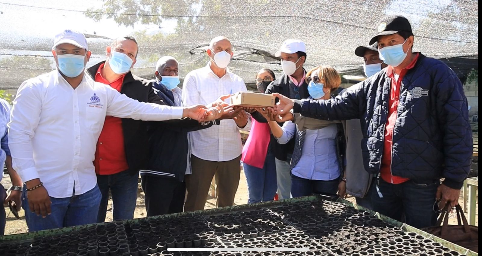 IAD recibe donación de semillas para proyecto de peras japonesas