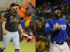 Gigantes, Estrellas, Tigres y Águilas buscan la final del béisbol dominicano FOTO: FUENTE EXTERNA
