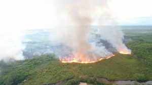 Se registra incendio forestal en el complejo turístico de Cap Cana