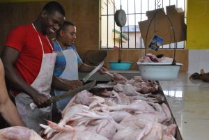 Autoridades garantizan abundancia de pollo en Navidad y Año Nuevo