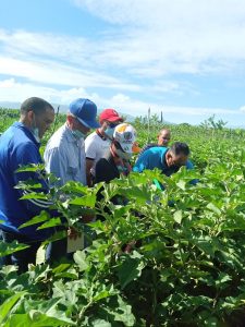 Agricultura destaca labor del CEDAF en la capacitación de su personal técnico en el 2021