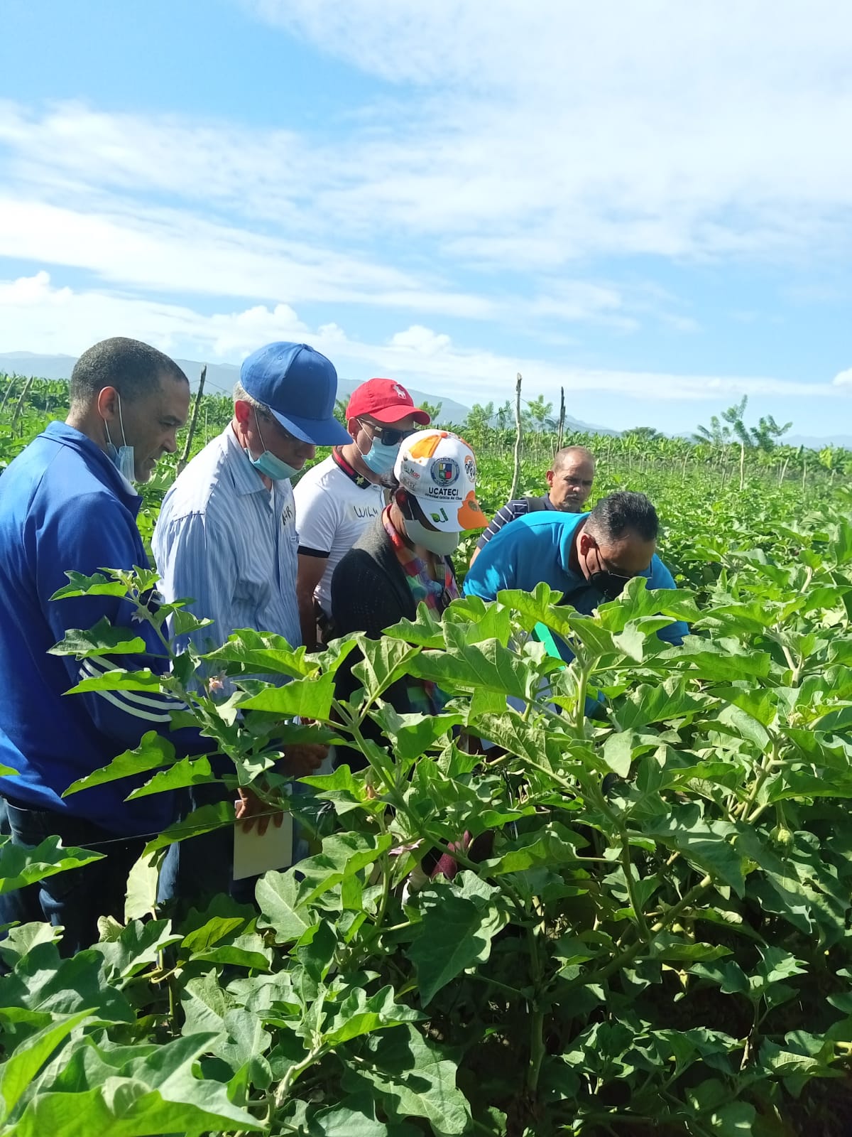 Agricultura destaca labor del CEDAF en la capacitación de su personal técnico en el 2021