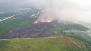 Informan el siniestro forestal registrado en Cap Cana ya está controlado