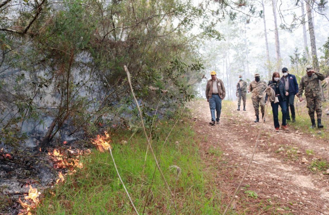 Continúan incendios forestales en Sierra de Bahoruco
