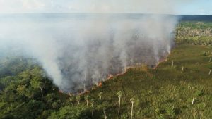 Fuego forestal afecta aérea del cenote Hoyo Claro en Verón
