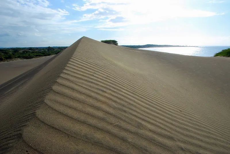 Julito Fulcar pide a Medio Ambiente mayor protección para Las Dunas de Baní