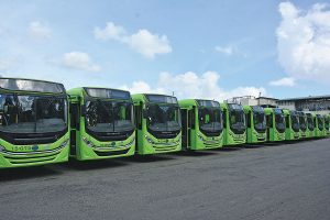 OMSA dispuesta a dar servicio de transporte para la Serie del Caribe