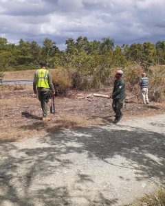 Medio ambiente desaloja invasores en zona protegida