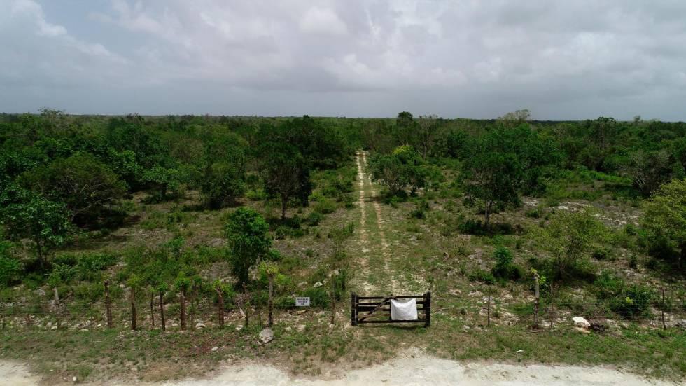 Una vez más TSA rechaza construcción del aeropuerto de Bávaro