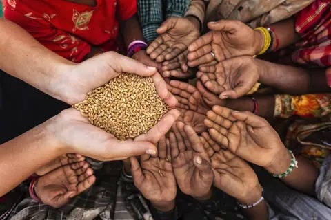 FAO dice que la pandemia fue "una bomba atómica en materia de hambre"