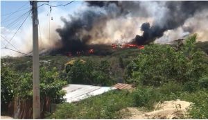 Medio Ambiente del ayuntamiento en un comunicado establece que desde hace tiempo desaprensivos están penetrando al basurero municipal.