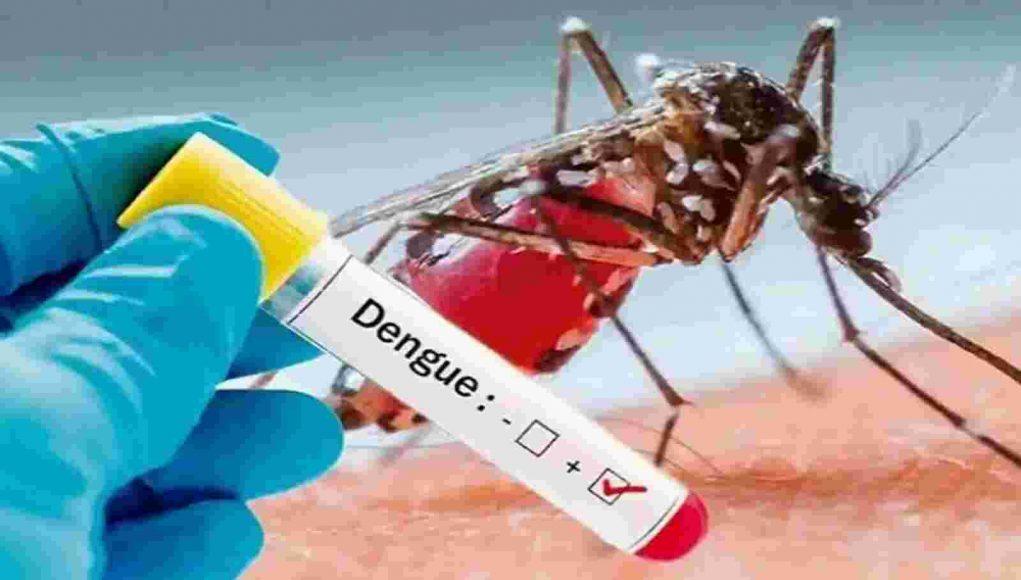Dengue en aumento; autoridades sostienen casos no sobrepasan el límite