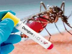 Dengue en aumento; autoridades sostienen casos no sobrepasan el límite