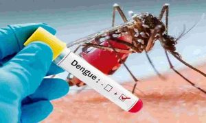 Dengue en aumento; autoridades sostienen casos no sobrepasan el límite