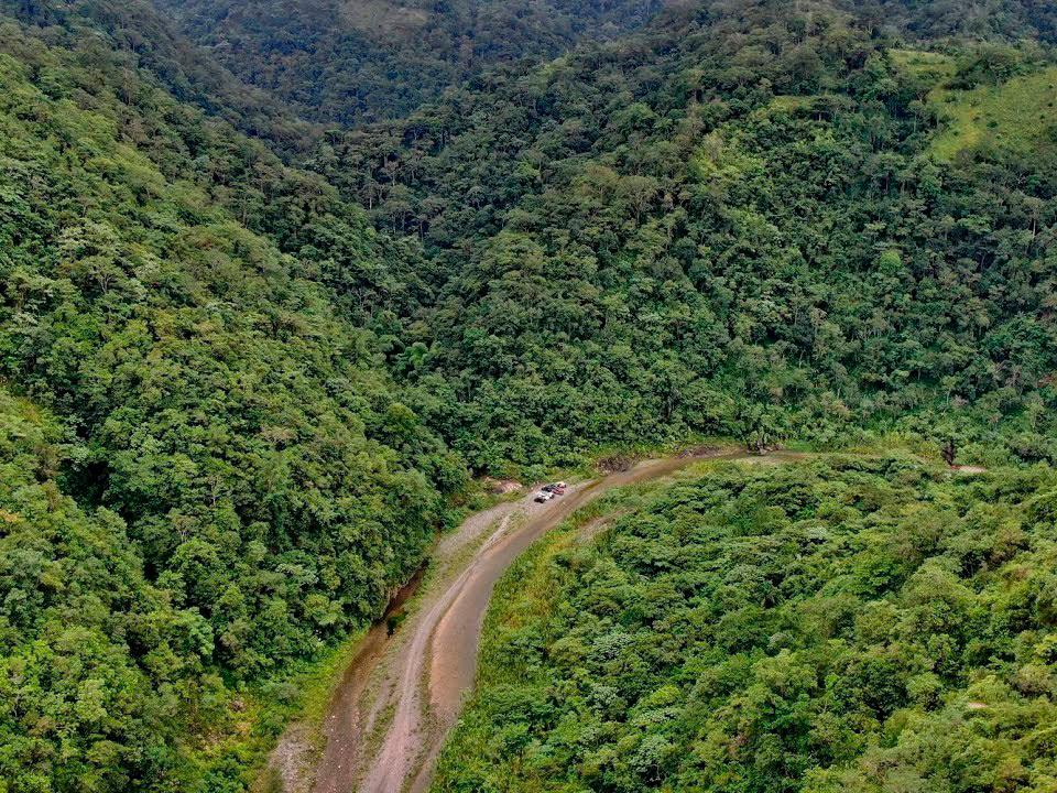 Territorio de RD es 42.8% de bosques; demasiado valiosos para perderlos