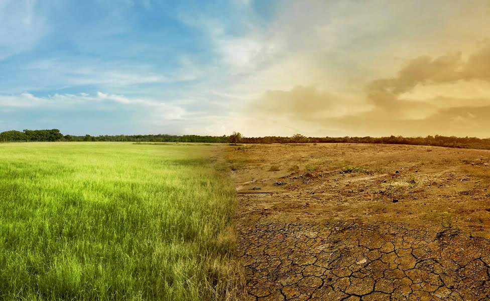 Los científicos también advierten que el cambio climático provocará más lluvias intensas e inundaciones que, junto con el clima cálido, pueden aumentar las enfermedades transmitidas por el agua.