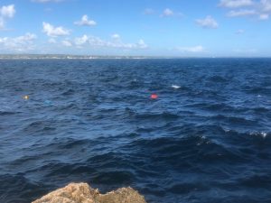 Reportan unas 10 personas ahogadas en las costas de La Romana