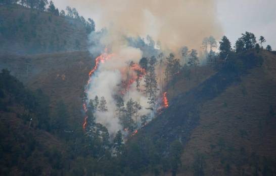 Bomberos trabajan en la extinción de un incendio forestal en Constanza