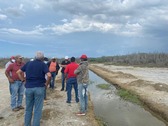 Comisión procura proteger los manglares en el parque nacional de Montecristi.