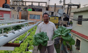 Huerto urbano de Osvaldo de Aza en Santo Domingo