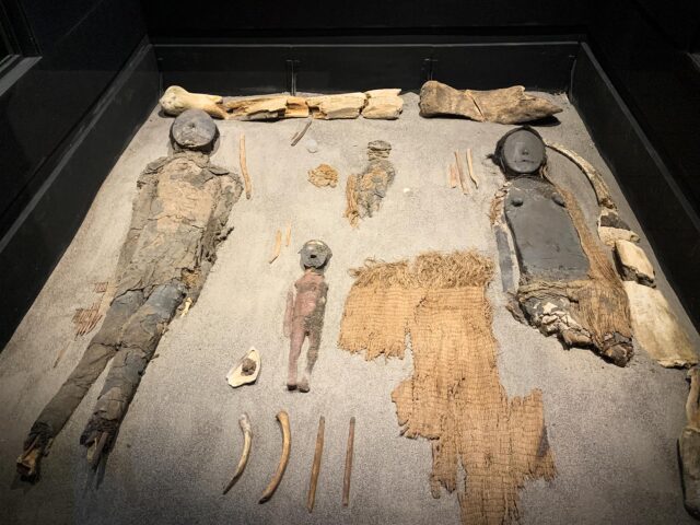 Fotografía de restos y momias de la cultura chinchorra. F.E