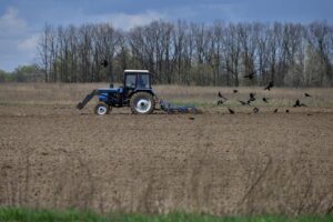 Los rusos roban el grano de las zonas que ocupan y lo envían a Crimea