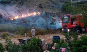 Incendio forestal afecta área protegida el Morro en Montecristi