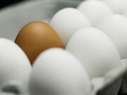 Gobierno dispone la venta de huevos a 3 pesos en Inespre