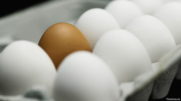 Gobierno dispone la venta de huevos a 3 pesos en Inespre