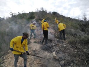 Medio Ambiente informó que fuego en Montecristi fue extinguido